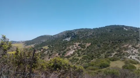 Terreno en Vía Castro Verde Moron de La Frontera
