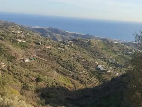 Terreno en Carretera de Sayalonga