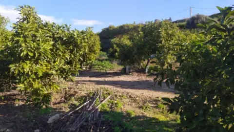 Terreno en Avenida Alcalde Antonio Villasclaras