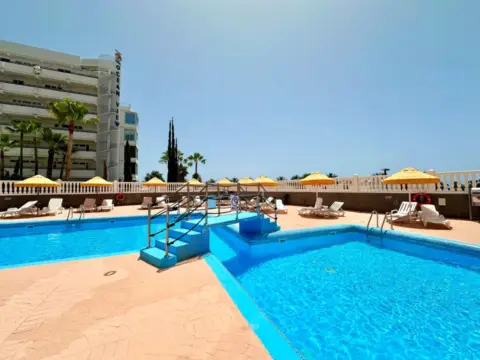 Estudio en calle de las Américas, 1