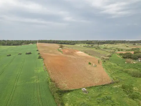 Terreno en Camino de las Verillas