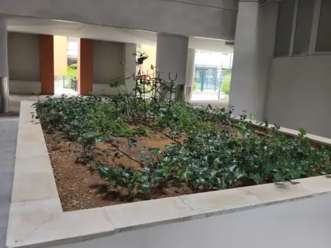 Habitación en Bellavista