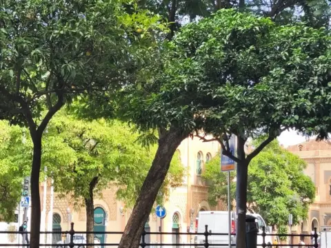 Piso en Avenida Cristo de la Expiración