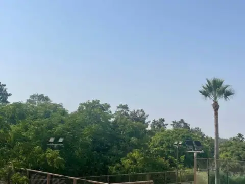 Piso en calle Coquina