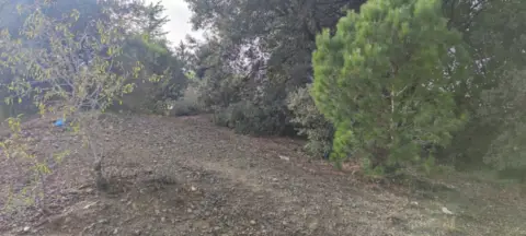 Terreno en Avinguda de la Camèlia, 4