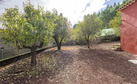 Chalet unifamiliar en calle Preventorio, 37