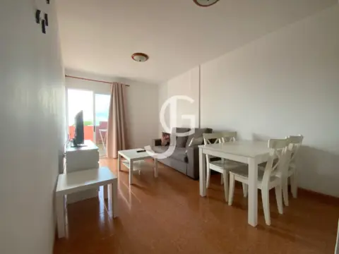 Apartamento en calle Celestino Glez Padron