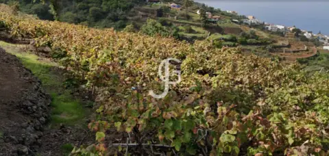Finca rústica en Camino Tijarafe