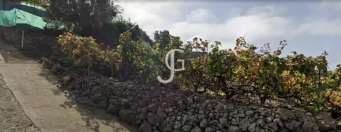 Finca rústica en Camino Tijarafe