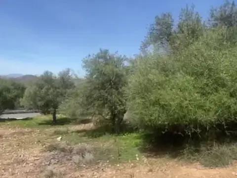 Terreno en calle Carretera Cartama Alhaurin El Grande