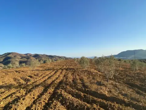 Terreno en Álora