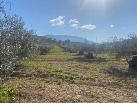 Terreno en Alhaurín Golf