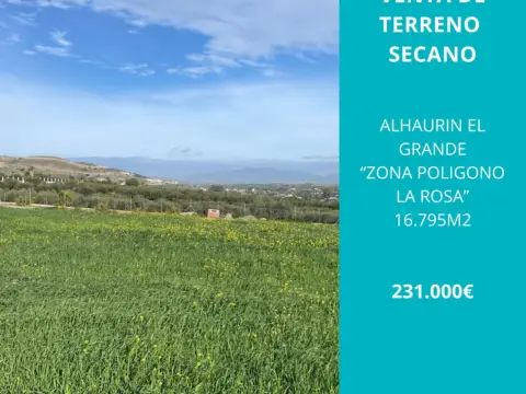 Terreno en calle de la Rosa