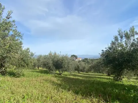 Terreno en calle de la Rosa