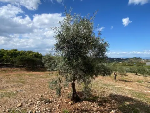 Terreno en Alhaurín Golf