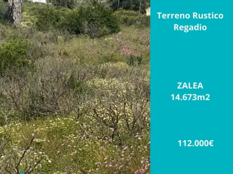 Terreno en Zalea