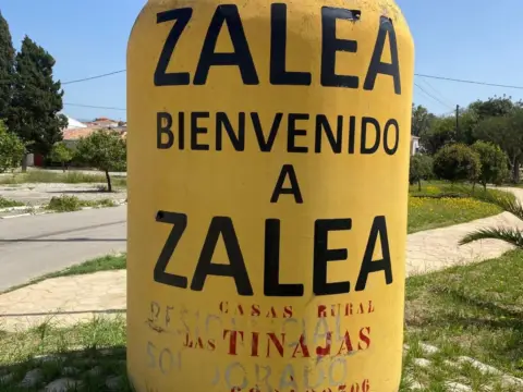 Terreno en Zalea