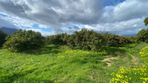Terreno en La Alquería-Torrealquería