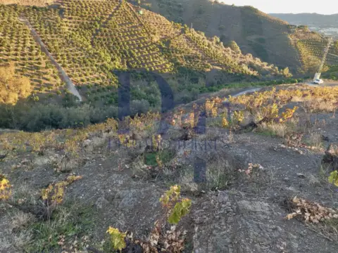 Terreno en Área de Triana-Cabrillas-Trapiche