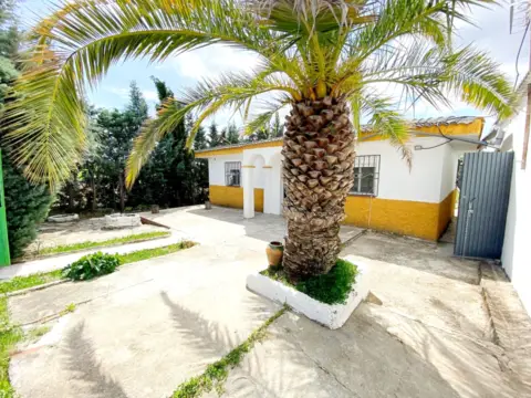 Rural Property in calle Reguero Huerto El Gacho