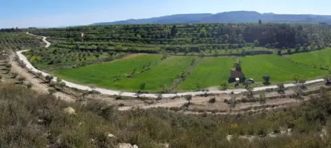 Finca rústica en calle Partida Figueres