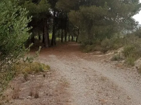Finca rústica en calle Partida La Basseta del Bissell