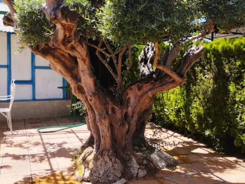 Chalet unifamiliar en calle de los Moscatelares