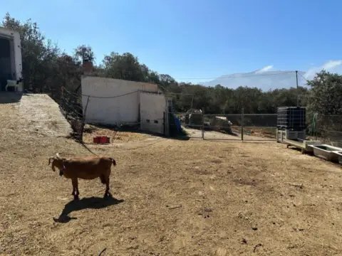 Finca rústica en El Turro