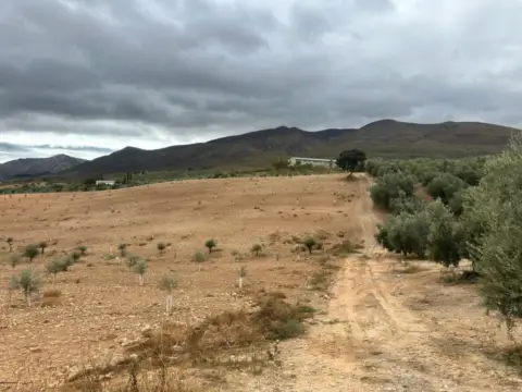 Finca rústica en calle de Jaén, 1