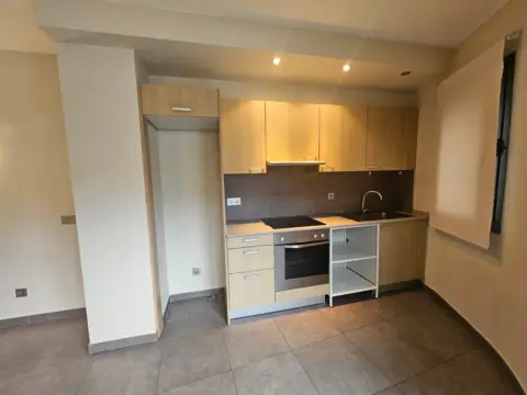 1-bedroom flat for rent in La Massana · 10 of 14