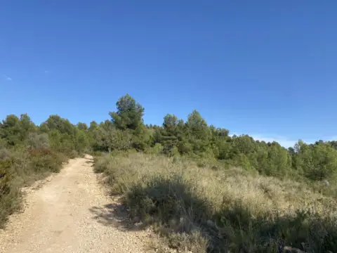 Finca rústica en Polígono 18 Parcela 79