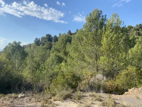 Finca rústica en Polígono 18 Parcela 79