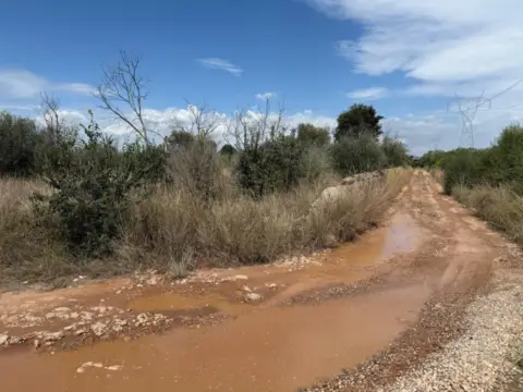 Terreno en Polígono Poligono 4 Parcela 783