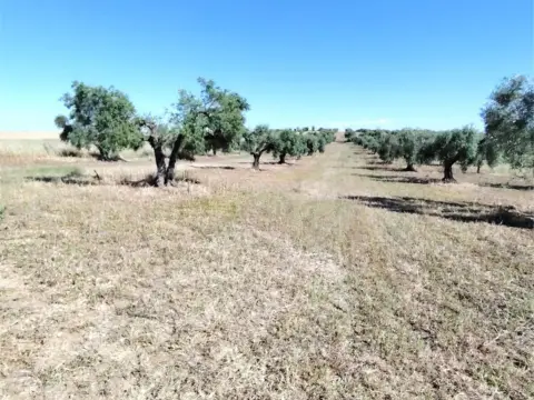 Finca rústica en San Luis-San Juan-Santa Isabel