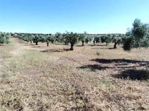 Finca rústica en San Luis-San Juan-Santa Isabel