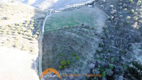 Finca rústica en Avenida Itrabo
