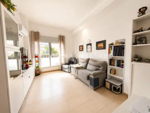 Pis – Blanes, els Pins, la Selva