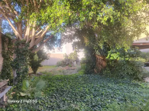 Terreno en Núcleo Urbano