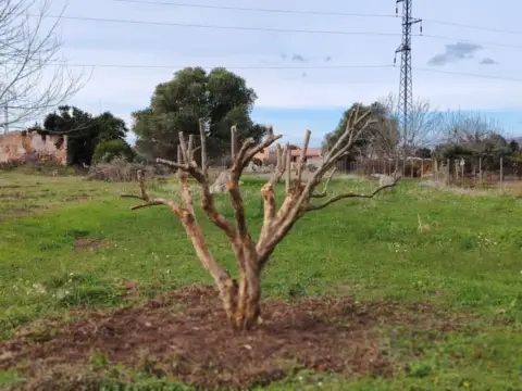 Finca rústica en Camino de la Donació
