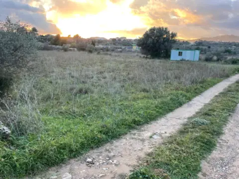 Finca rústica en L´Alcora
