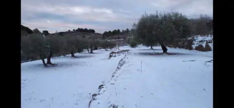 Finca rústica en Borriol
