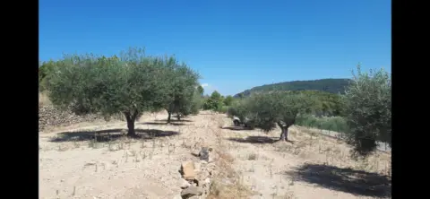 Finca rústica en Borriol