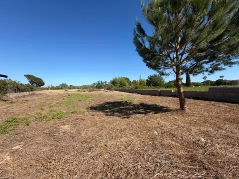 Finca rústica en Camino del Senillar