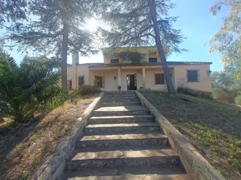 Chalet en calle Alberca