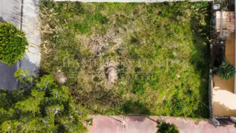 Terreno en Platja d'Alcúdia-Port d'Alcúdia