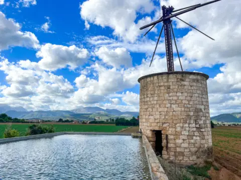 Finca rústica en Sa Pobla
