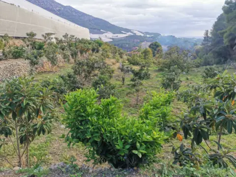 Terreno en Plaza de Rodolfo Llopis