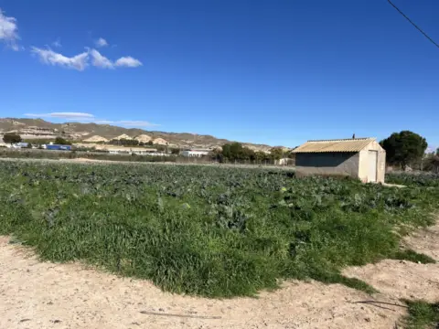 Terreno en Totana