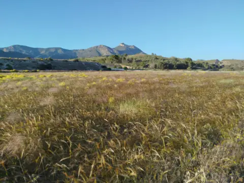 Terreno en calle Sarganella