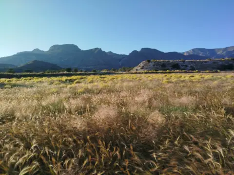 Terreno en calle Sarganella
